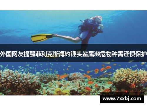 外国网友提醒菲利克斯海钓锤头鲨属濒危物种需谨慎保护 外国网友提醒菲利克斯海钓锤头鲨属濒危物种需谨慎保护